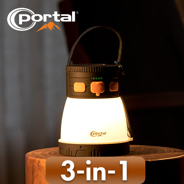3 in 1 portable light